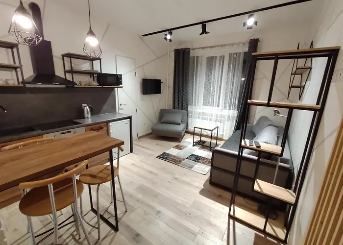 Loft Возле Парка, Стадиона И Озера