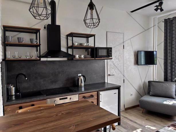 Apartment Loft возле парка, стадиона и озера Ivano-Frankivsk